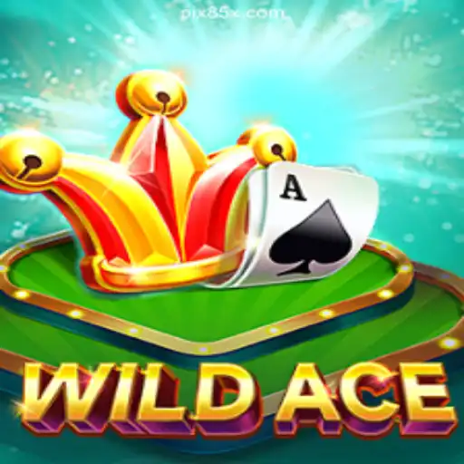 Explore the Thrilling World of WildAce on 85X.com